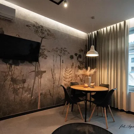 Апартаменты Grey Przy Skoczni & Bus Щирк