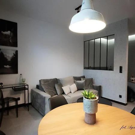 Appartamento Grey Przy Skoczni & Bus Szczyrk