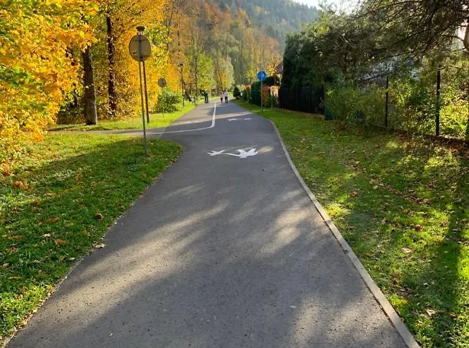 Grey Przy Skoczni & Bus *