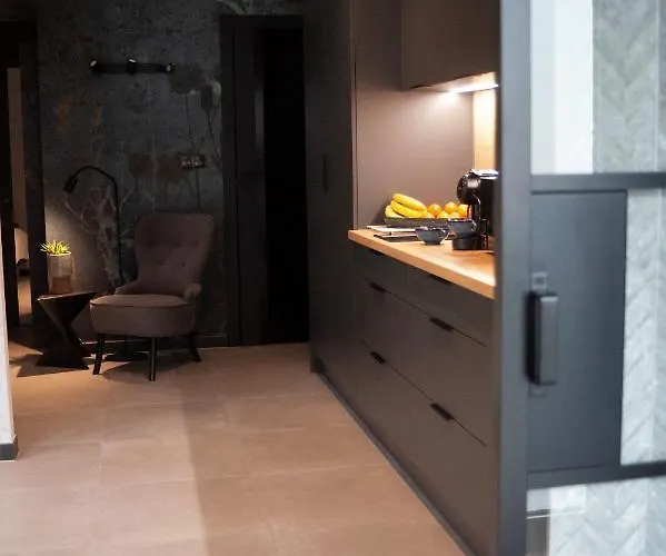 Grey Przy Skoczni & Bus 公寓 什切尔克